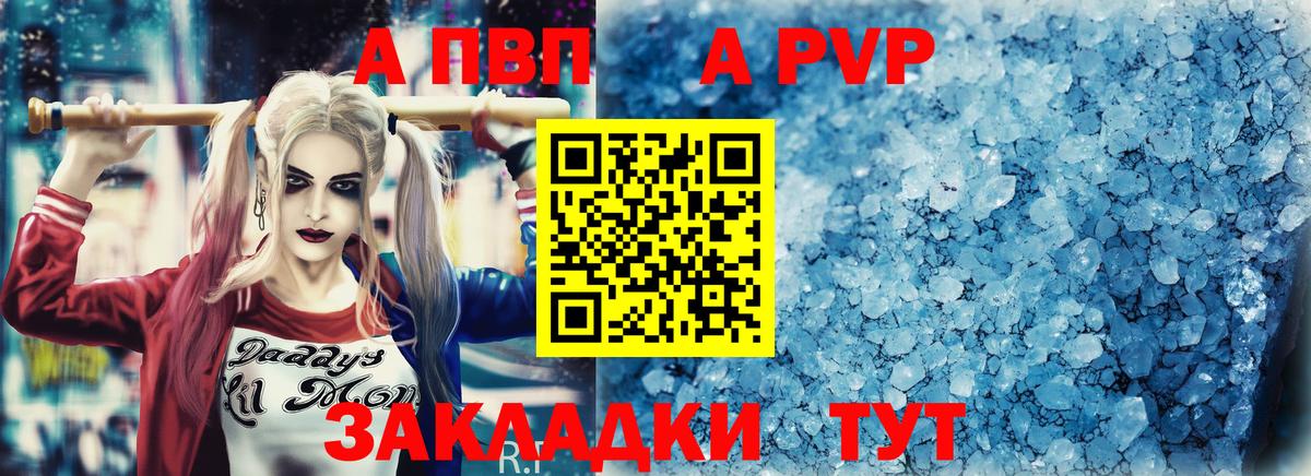 Alfa_PVP СК Люберцы