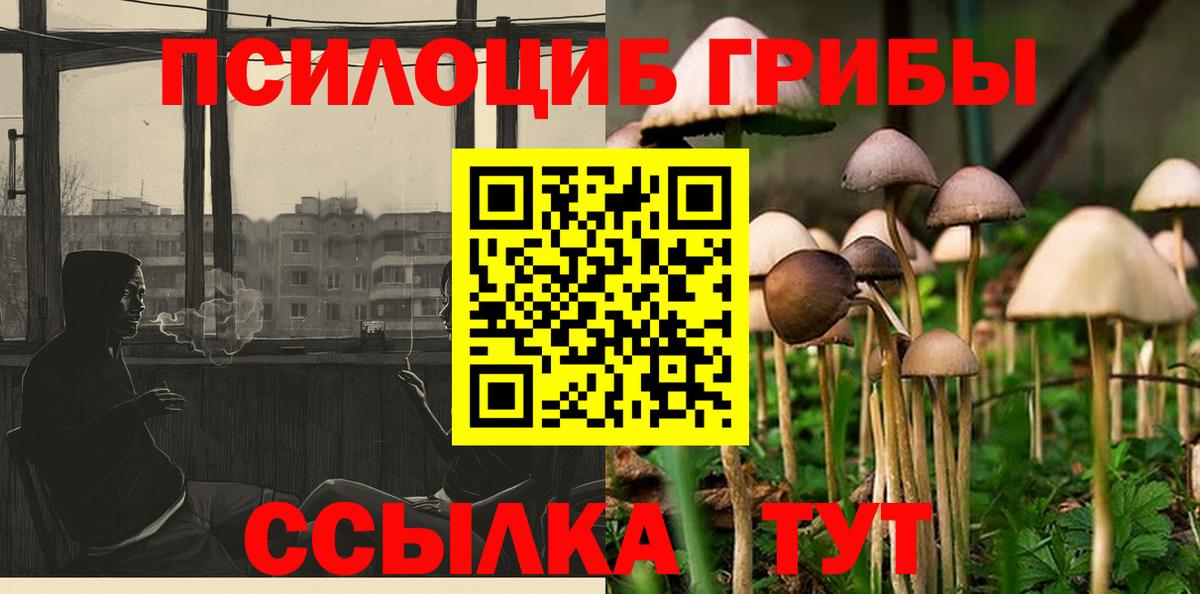 Галлюциногенные грибы MAGIC MUSHROOMS  Вход с VPN  купить   Люберцы 
